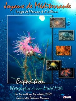 Galerie des Pêcheurs: Joyaux de la Méditerranée.  ...