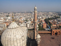 VIAGGIO UFFICIALE IN INDIA DEL PRINCIPE ALBERT II